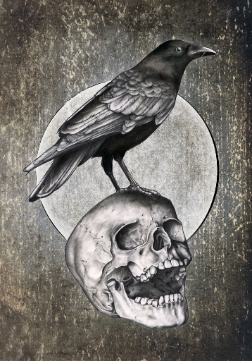 Night Crows
